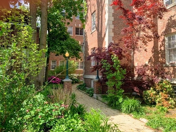 21 Chauncy Street, Unit 3 Cambridge, MA 02138 - Photo 12 of 12