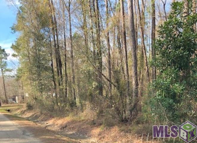 0 McLin Road Livingston, LA 70754 - Photo 1 of 8 Gallery Image 1