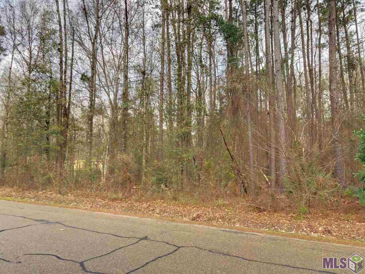 0 McLin Road Livingston, LA 70754 - Photo 2 of 8 Gallery Image 2