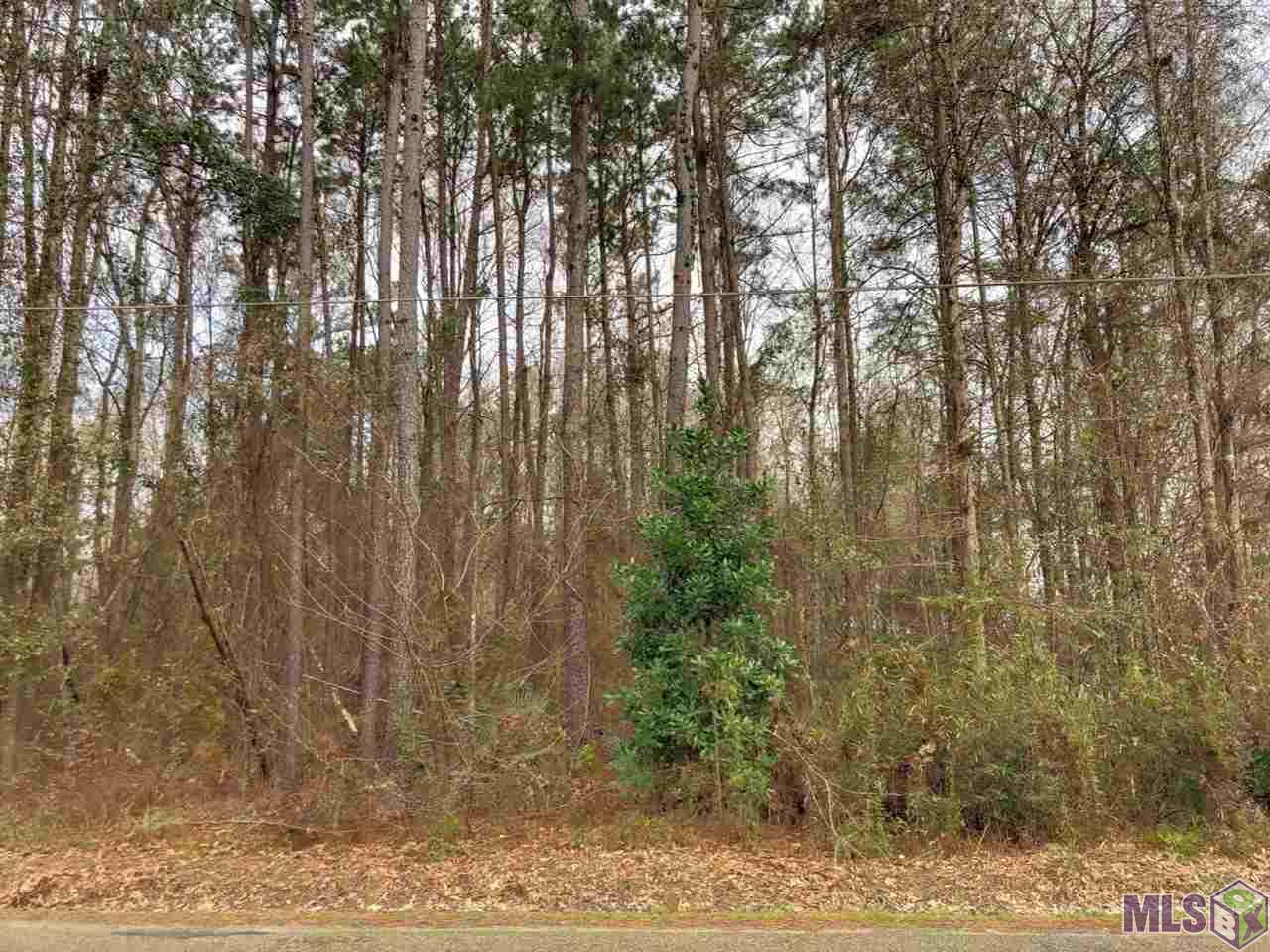 0 McLin Road Livingston, LA 70754 - Photo 3 of 8 Gallery Image 3