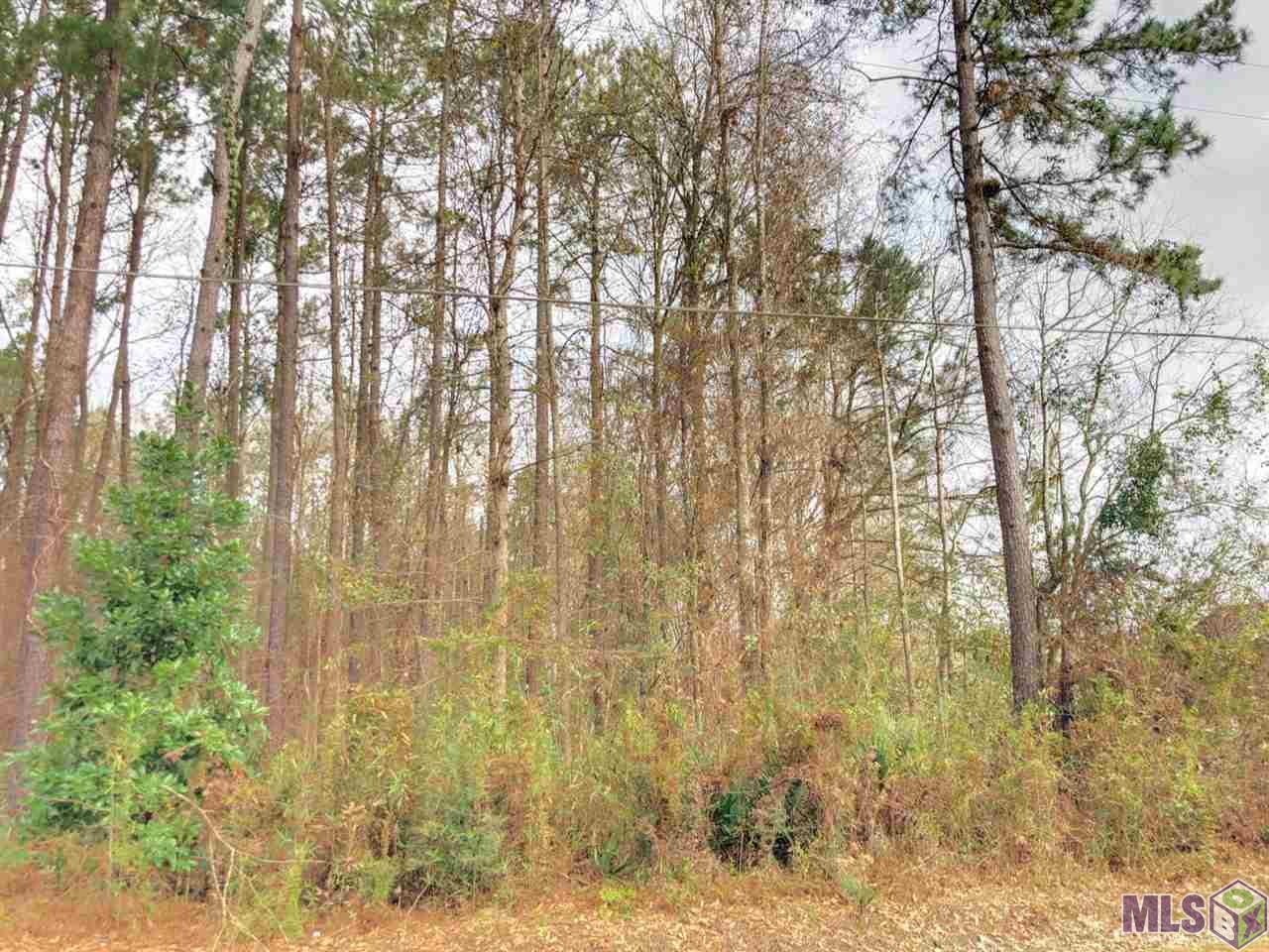 0 McLin Road Livingston, LA 70754 - Photo 4 of 8 Gallery Image 4