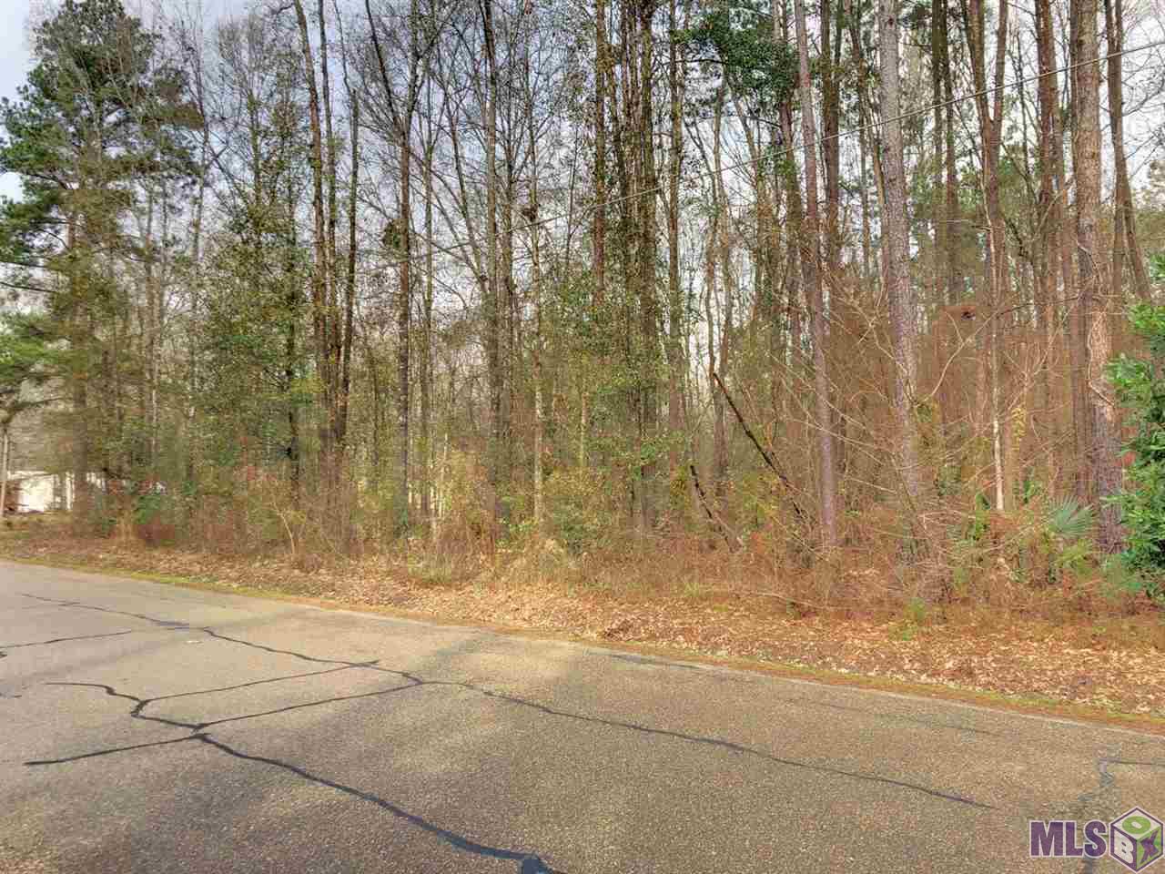 0 McLin Road Livingston, LA 70754 - Photo 5 of 8 Gallery Image 5