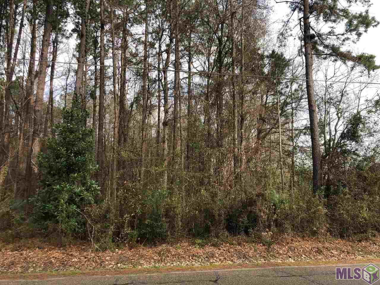 0 McLin Road Livingston, LA 70754 - Photo 6 of 8 Gallery Image 6