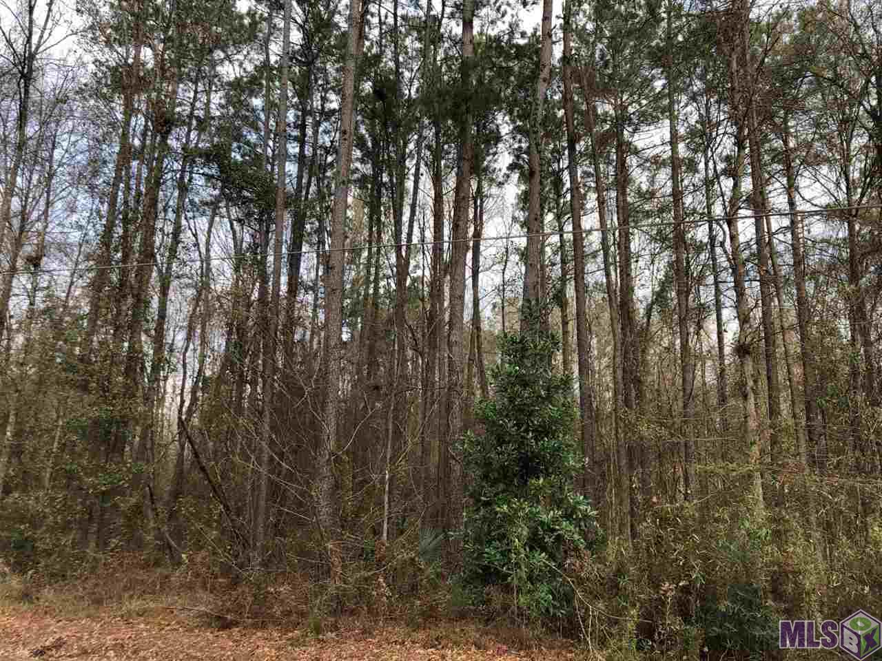0 McLin Road Livingston, LA 70754 - Photo 7 of 8 Gallery Image 7