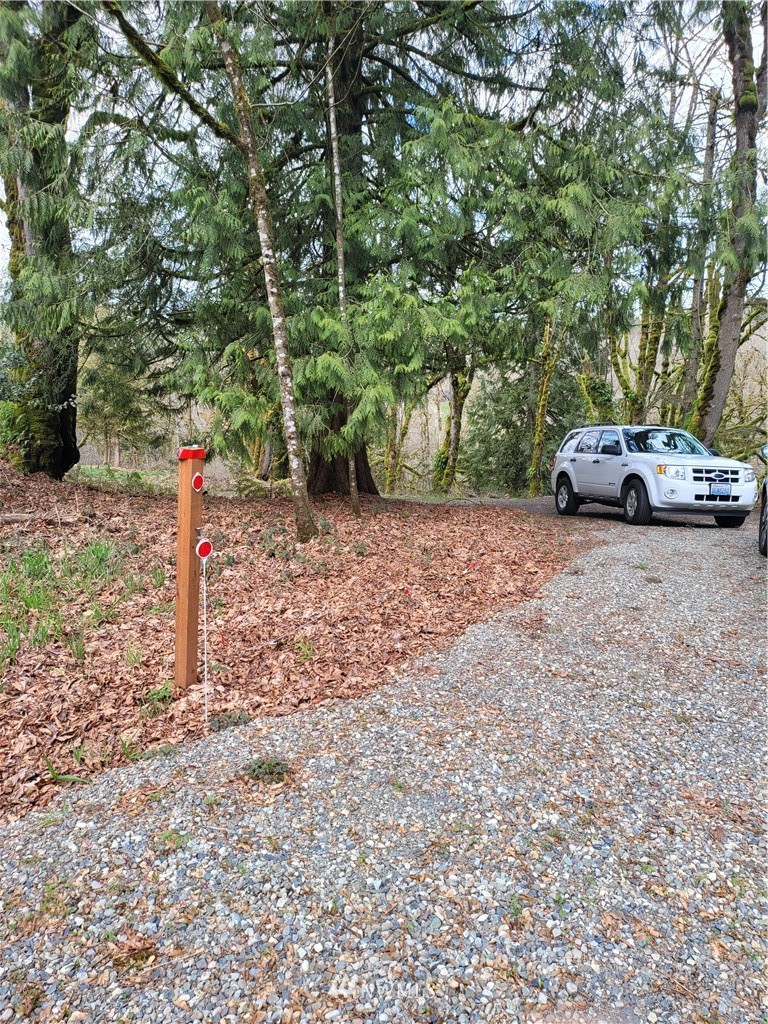 20109 Southeast Petrovitsky Road Maple Valley, WA 98038 - Photo 12 of 24 a view of a yard with a tree