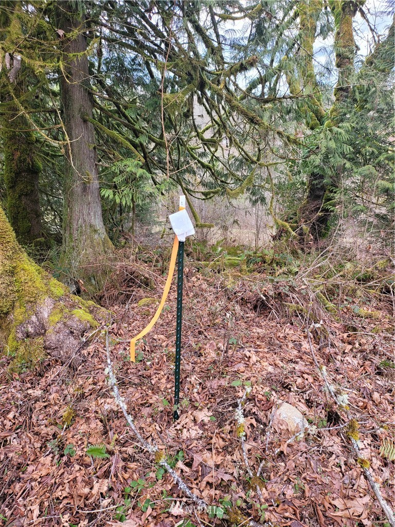 20109 Southeast Petrovitsky Road Maple Valley, WA 98038 - Photo 15 of 24 a backyard of a house
