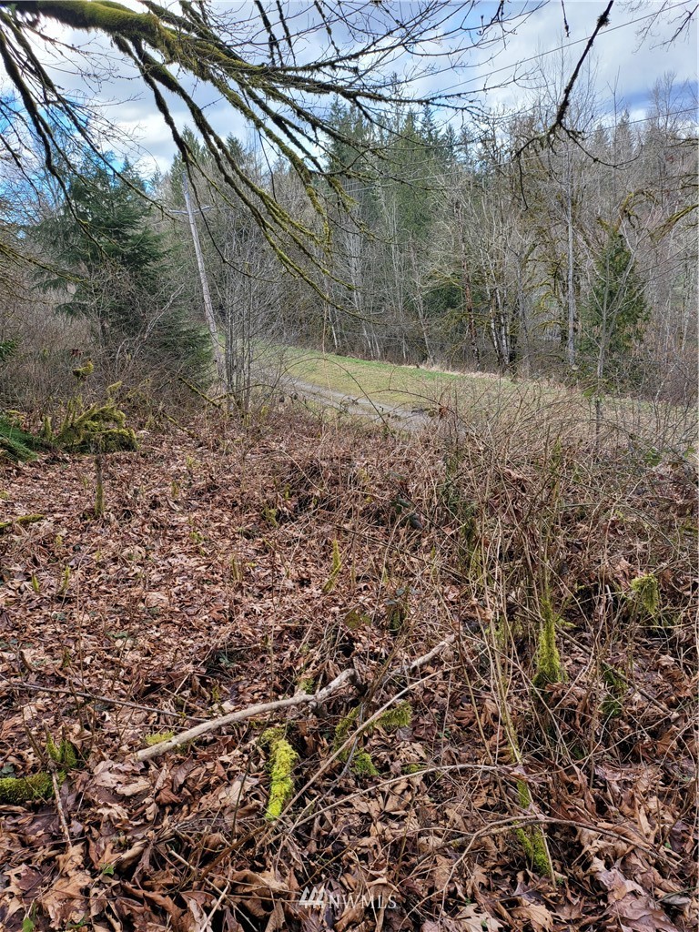20109 Southeast Petrovitsky Road Maple Valley, WA 98038 - Photo 16 of 24 a view of a yard with a tree