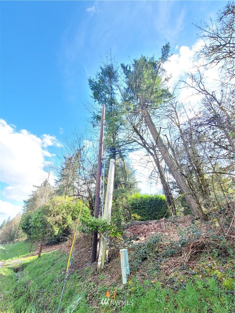 20109 Southeast Petrovitsky Road Maple Valley, WA 98038 - Photo 18 of 24 a backyard of a house with lots of green space