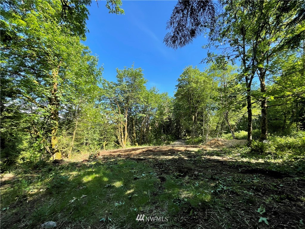 20109 Southeast Petrovitsky Road Maple Valley, WA 98038 - Photo 4 of 24 a view of a tree with a yard