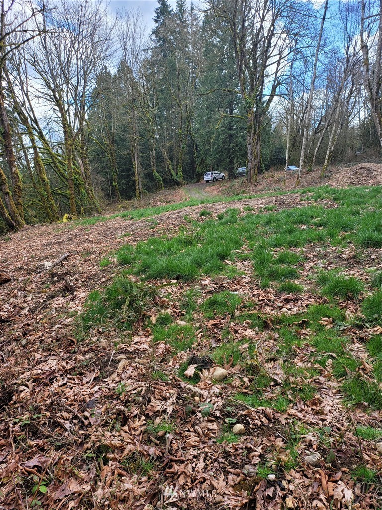 20109 Southeast Petrovitsky Road Maple Valley, WA 98038 - Photo 5 of 24 a view of outdoor space with trees all around