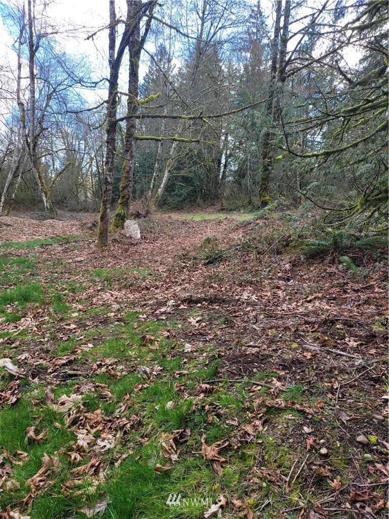 20109 Southeast Petrovitsky Road Maple Valley, WA 98038 - Photo 6 of 24 a view of a outdoor space and trees