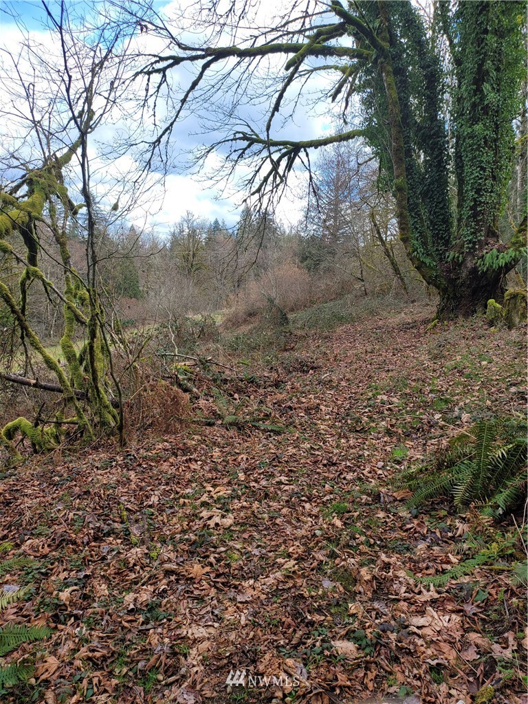 20109 Southeast Petrovitsky Road Maple Valley, WA 98038 - Photo 9 of 24 a view of yard with green space