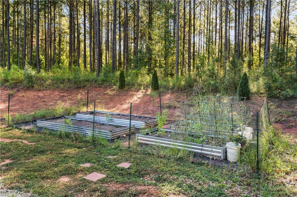 3696 Lee Road Salem, AL 36874 - Photo 32 of 36 Backyard area featuring multiple raised garden beds, established plantings, and a dense treeline backdrop