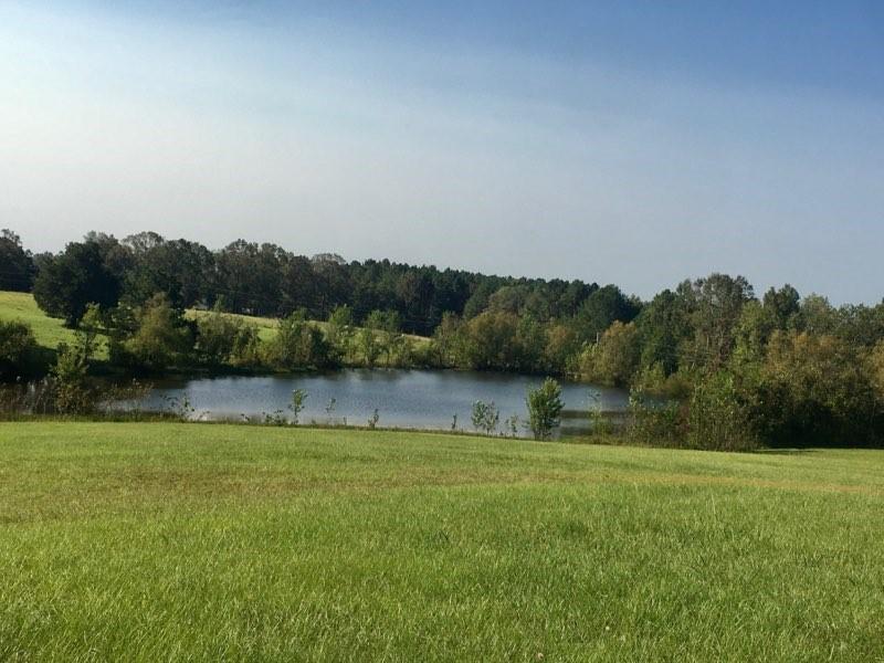 461 H Keiffer Road Winnfield, LA 71483 - Photo 2 of 25 Gallery Image 2
