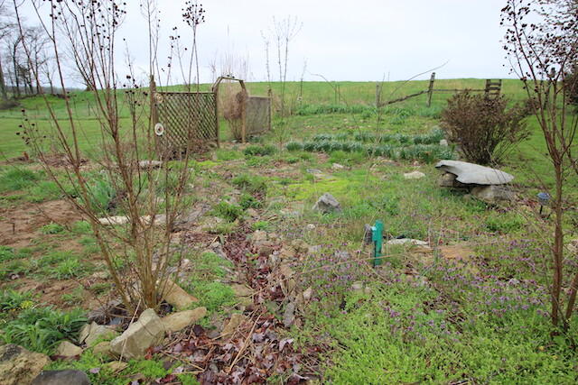 155 Eugene Harness Road Science Hill, KY 42553 - Photo 78 of 101 IMG_5649