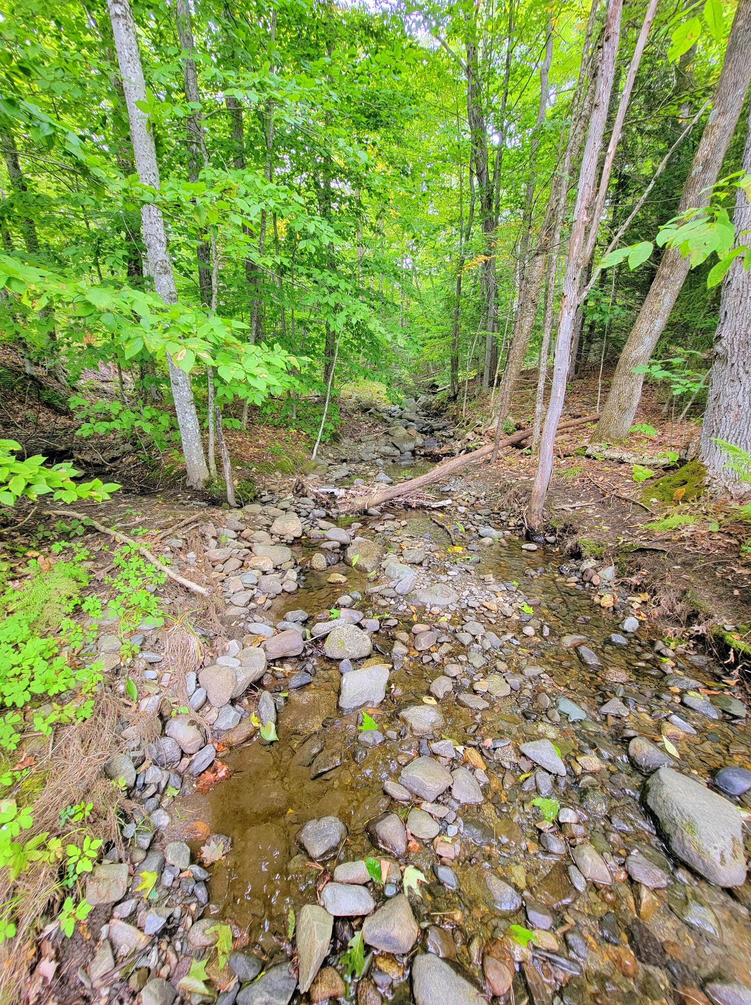 14 Ames Road Industry, ME 04938 - Photo 72 of 106 Norton Brook