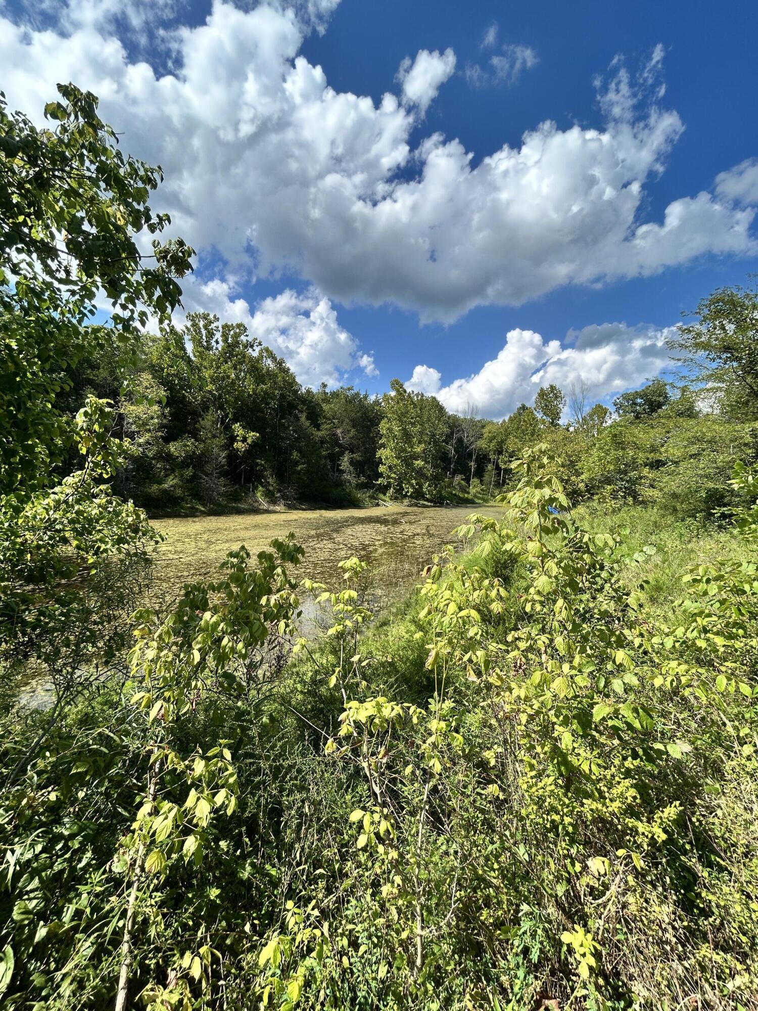 726 Old Brown Road Salvisa, KY 40372 - Photo 87 of 89 Large pond