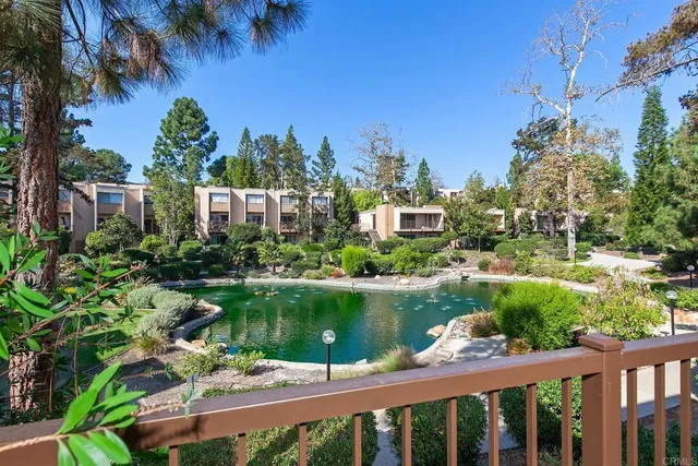 a view of a lake with a city view