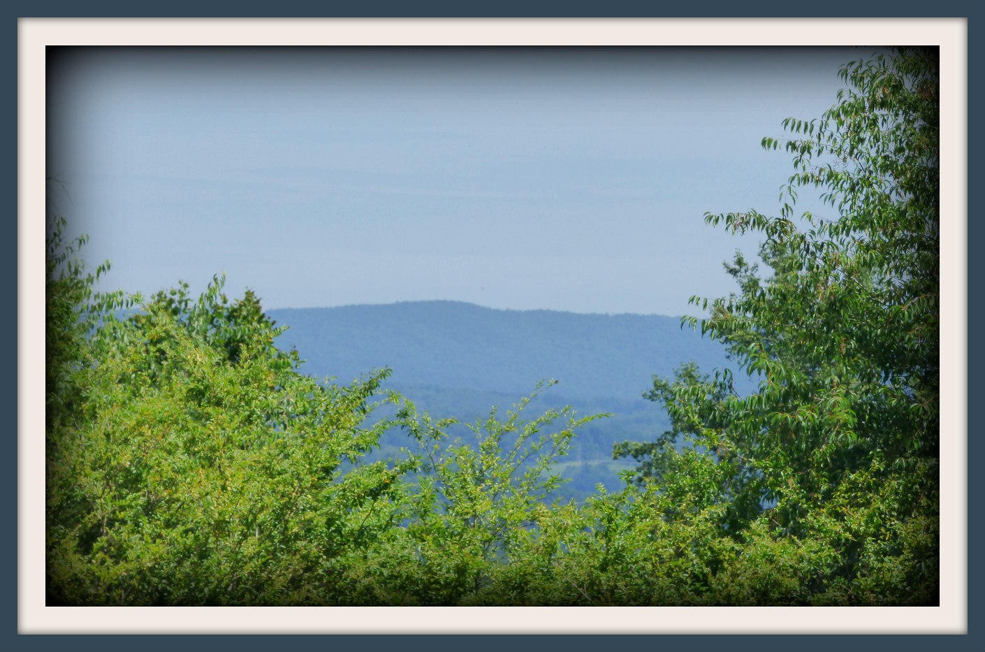 37 Nances Ferry Road New Market, TN 37820 - Photo 10 of 14 Gallery Image 10