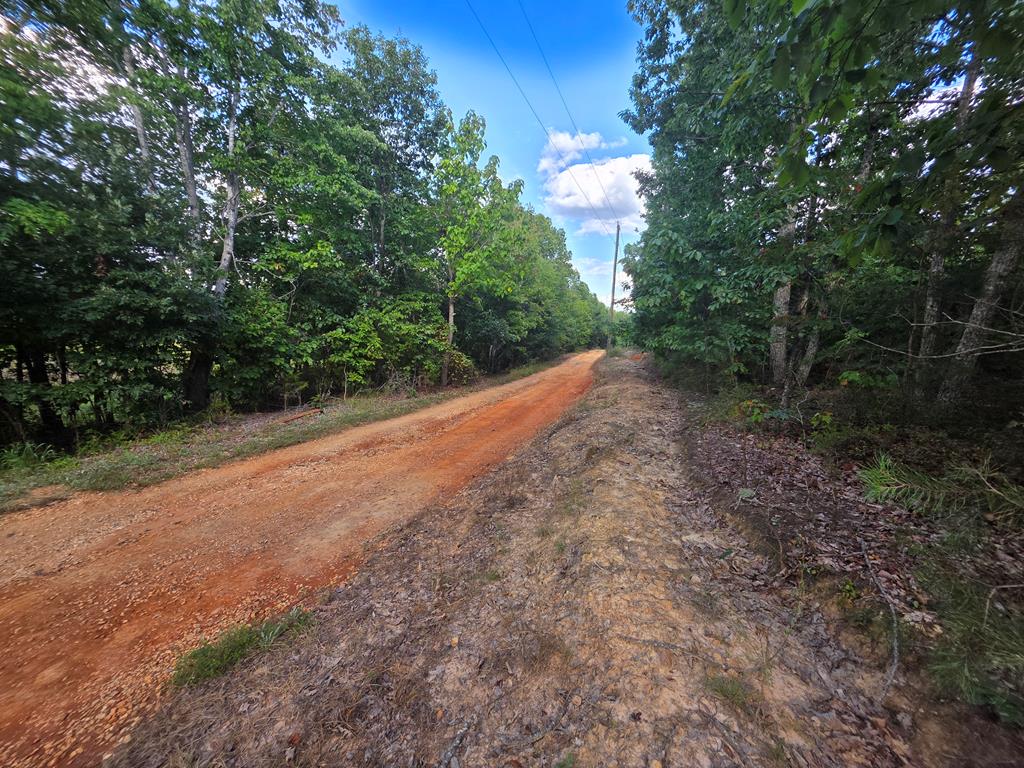 Eldon Road Appomattox, VA 24522 - Photo 1 of 8 Gallery Image 1