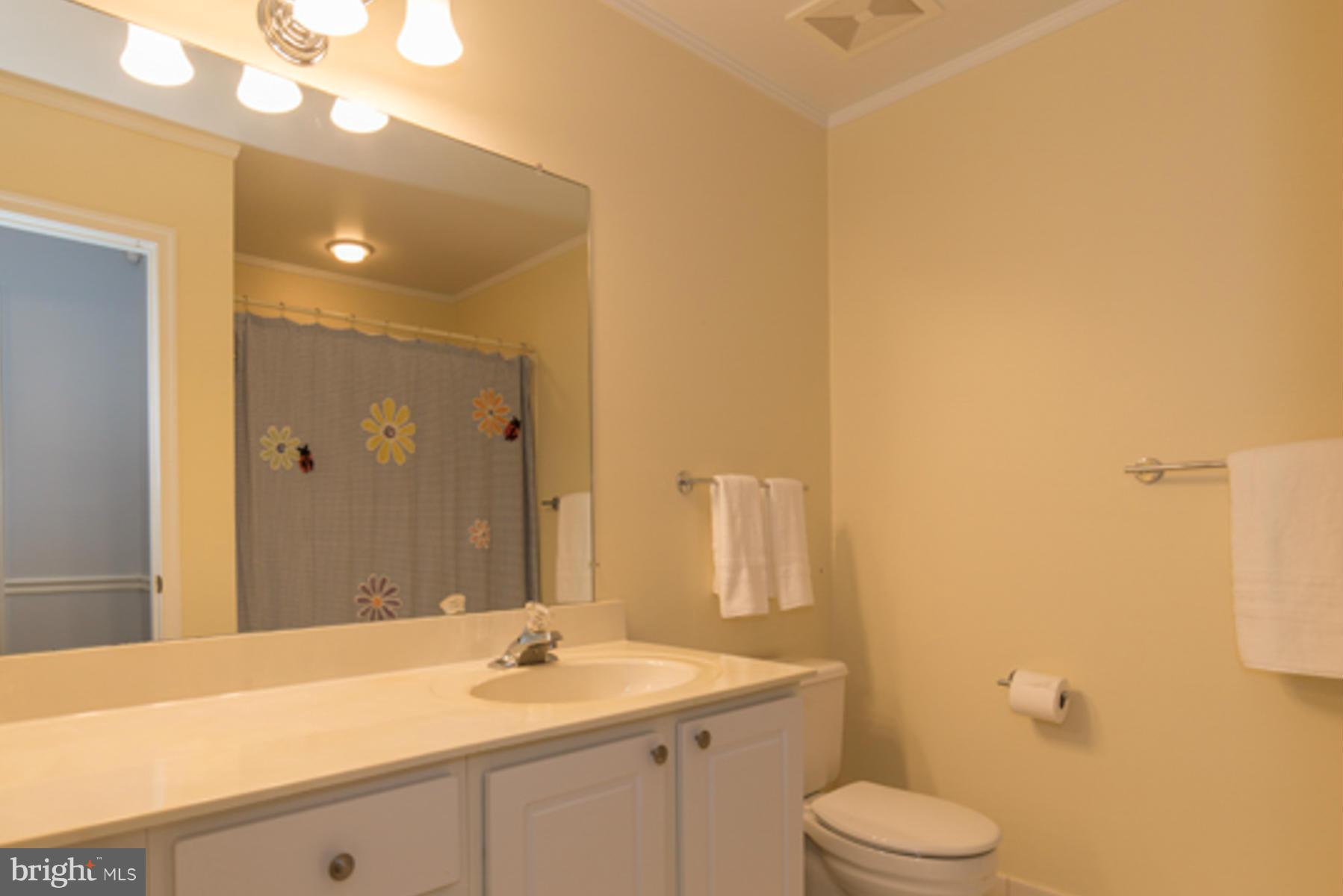 337 Brunswick Place Riva, MD 21140 - Photo 22 of 29 Bath