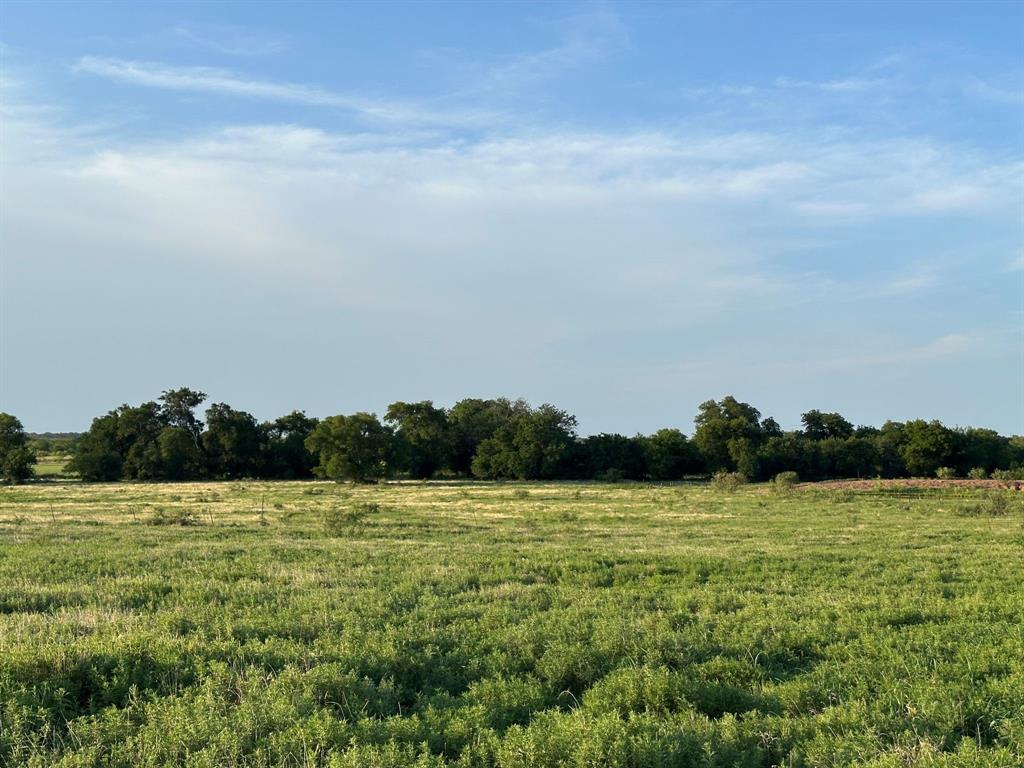 Tbd Rock Springs School Road Nocona, TX 76255 - Photo 21 of 24