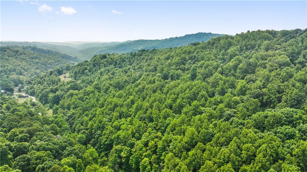 0 Brooks Road Mount Morris, PA 15349 - Photo 1 of 21 a view of a lush green forest with a mountain in the background