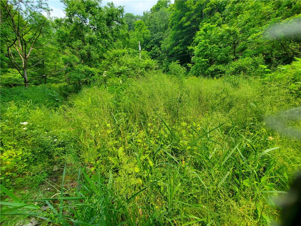 0 Brooks Road Mount Morris, PA 15349 - Photo 13 of 21 a view of a lush green space