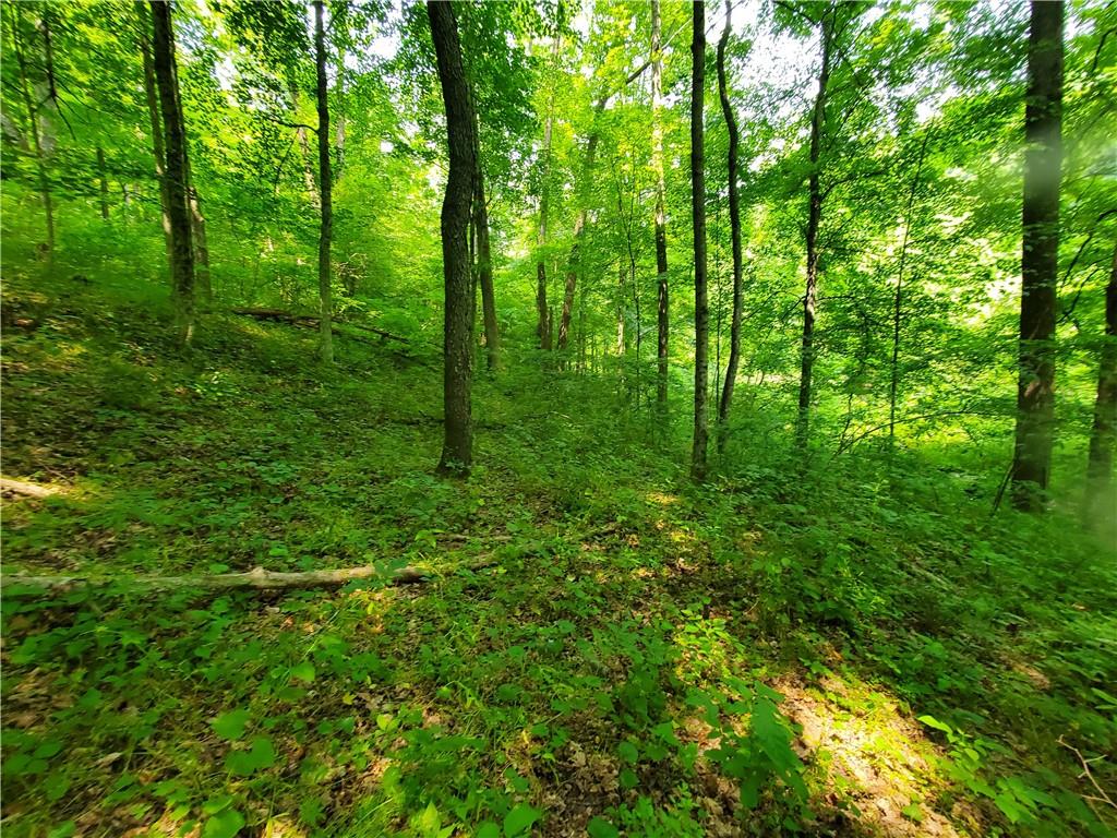0 Brooks Road Mount Morris, PA 15349 - Photo 14 of 21 a view of a lush green forest