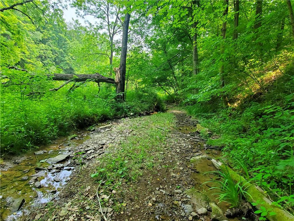 0 Brooks Road Mount Morris, PA 15349 - Photo 20 of 21 a view of a lush green forest with lots of trees