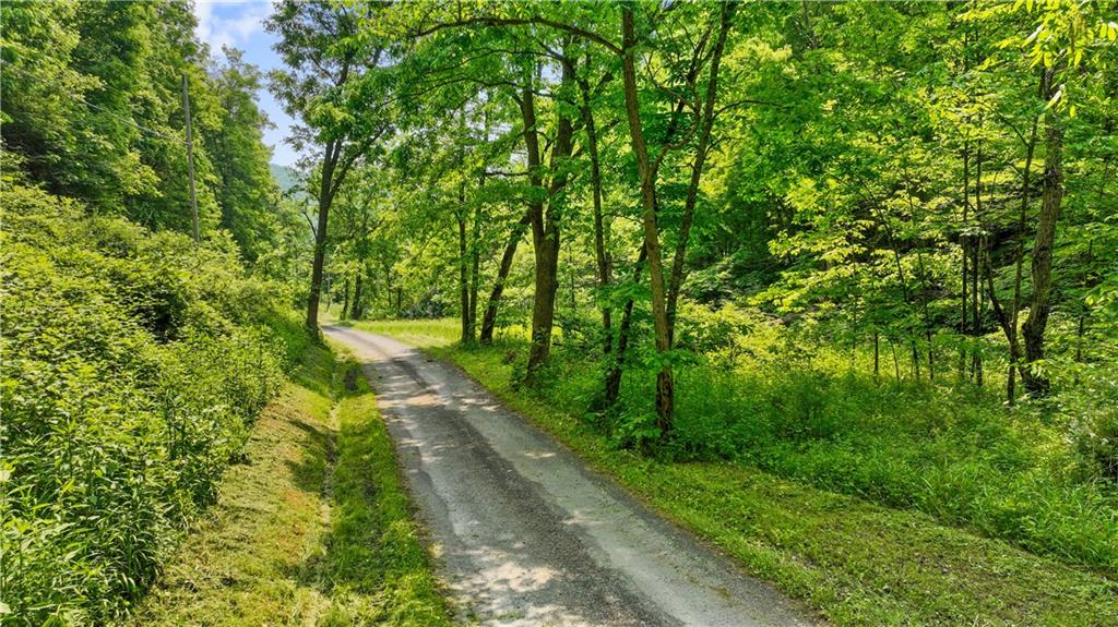 0 Brooks Road Mount Morris, PA 15349 - Photo 5 of 21 a pathway of a yard