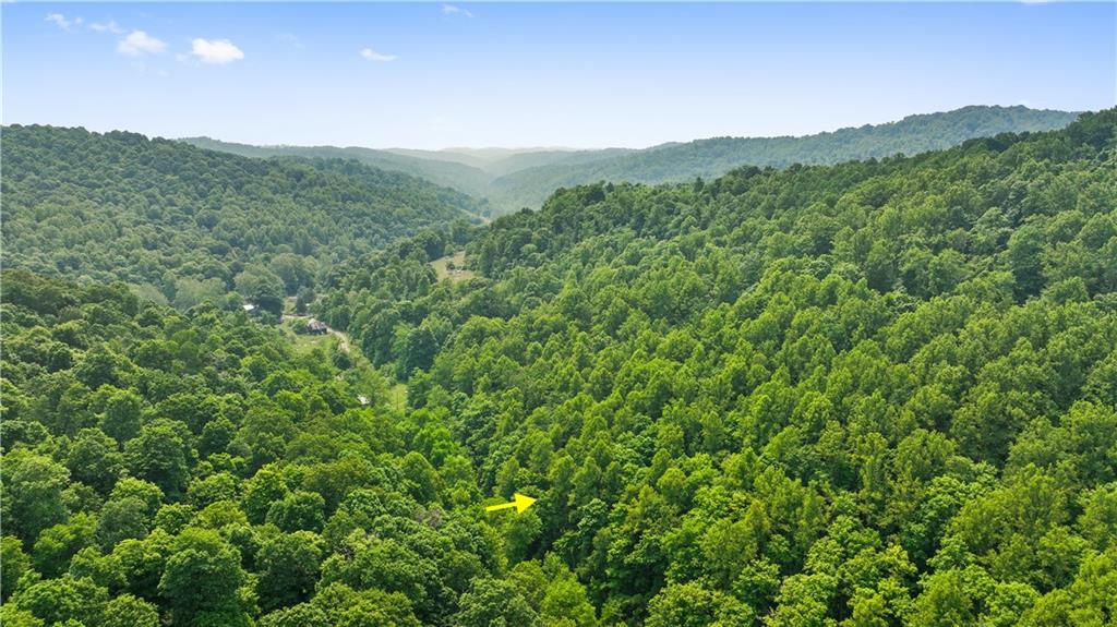 0 Brooks Road Mount Morris, PA 15349 - Photo 8 of 21 a view of a lush green forest with a mountain in the background