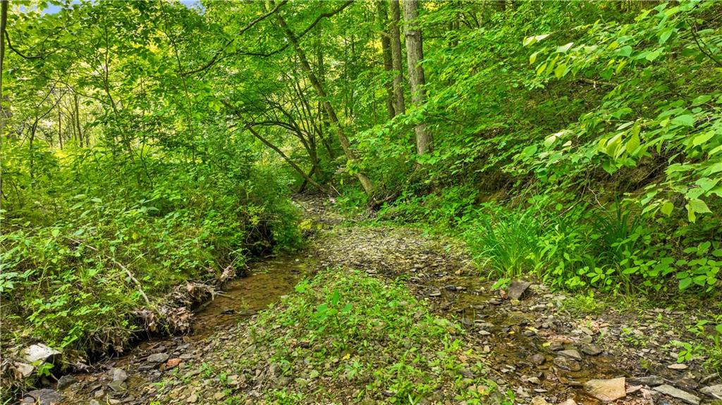 0 Brooks Road Mount Morris, PA 15349 - Photo 9 of 21 a view of a lush green forest