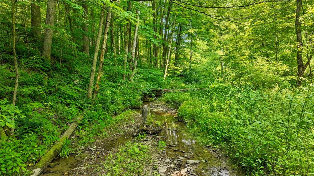 0 Brooks Road Mount Morris, PA 15349 - Photo 10 of 21 a view of a lush green forest