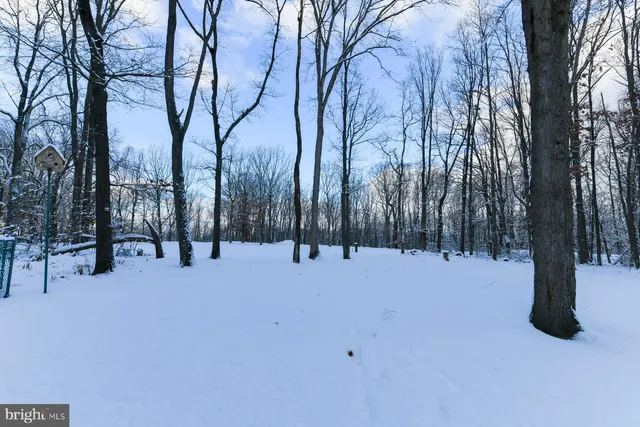 a view of road and trees