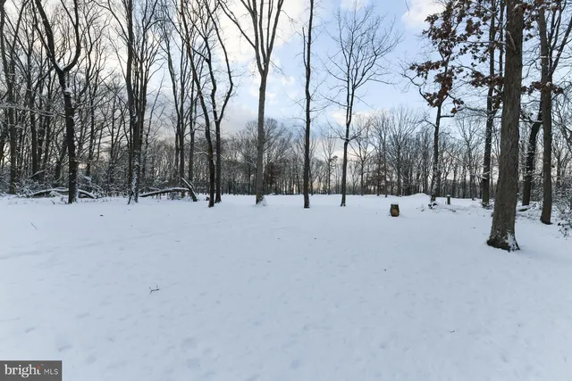 a view of snow with trees