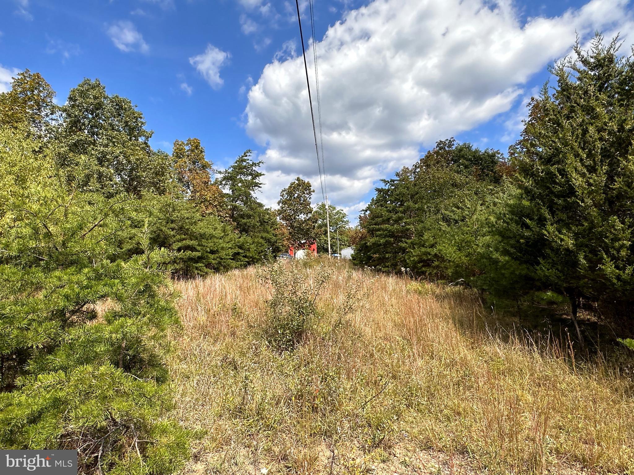 Knobley Road Keyser, WV 26726 - Photo 5 of 19