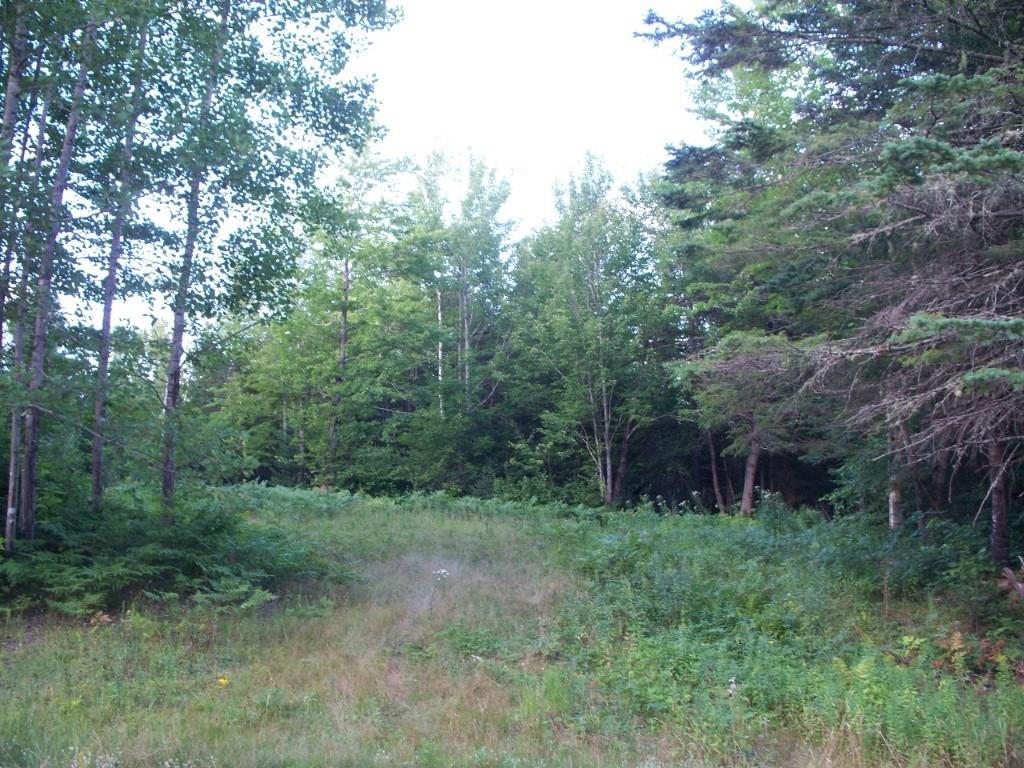 M4-l8 Brighton Road Wellington, ME 04942 - Photo 7 of 7 Land/Lot