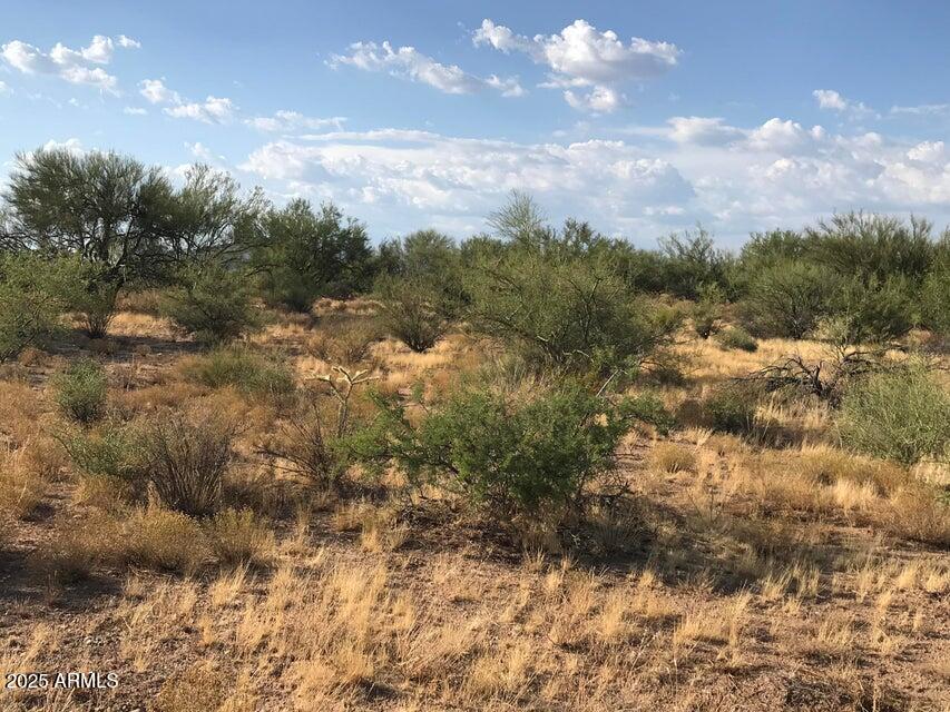 89 South Congress Az 85332 Congress, AZ 85332 - Photo 5 of 12