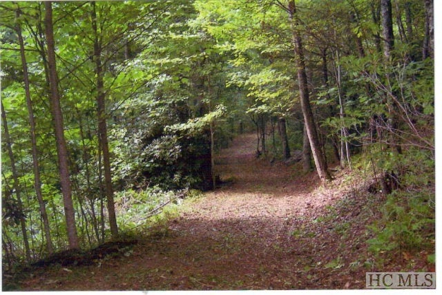 0 Flat Mountain Road Highlands, NC 28741 - Photo 1 of 1 Gallery Image 1