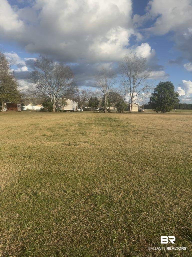 View of green lawn