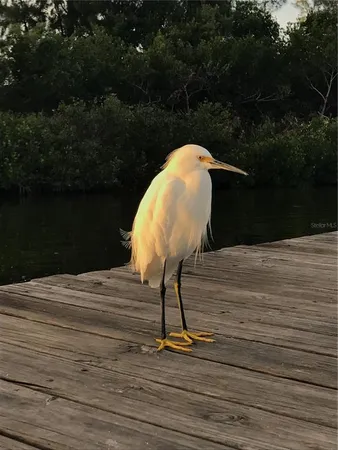 $300,000 | 8768 King Street, Boca Grande, FL 33921