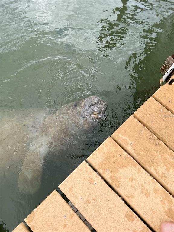 8768 King Street Placida, FL 33946 - Photo 6 of 17 a view of ocean from a balcony