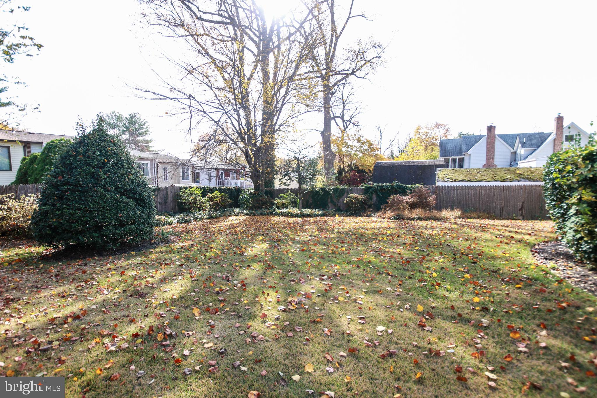 10811 Keller Street Silver Spring, MD 20902 - Photo 26 of 29 Backyard