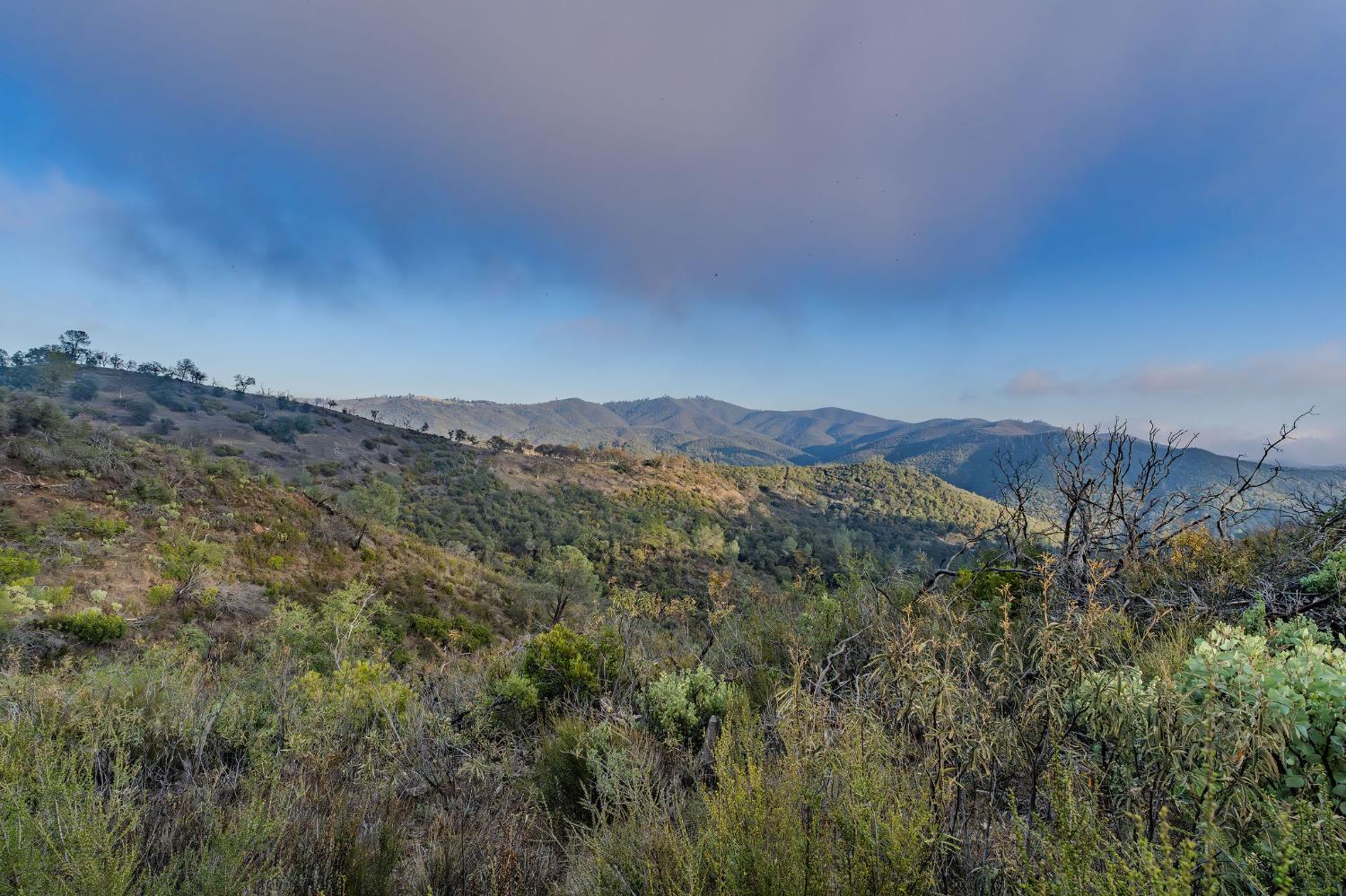 71 Hawver Road San Andreas, CA 95249 - Photo 39 of 96