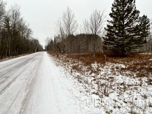 Tbd5 Larson Road Atlantic Mine, MI 49905 - Photo 49 of 56 Gallery Image 49