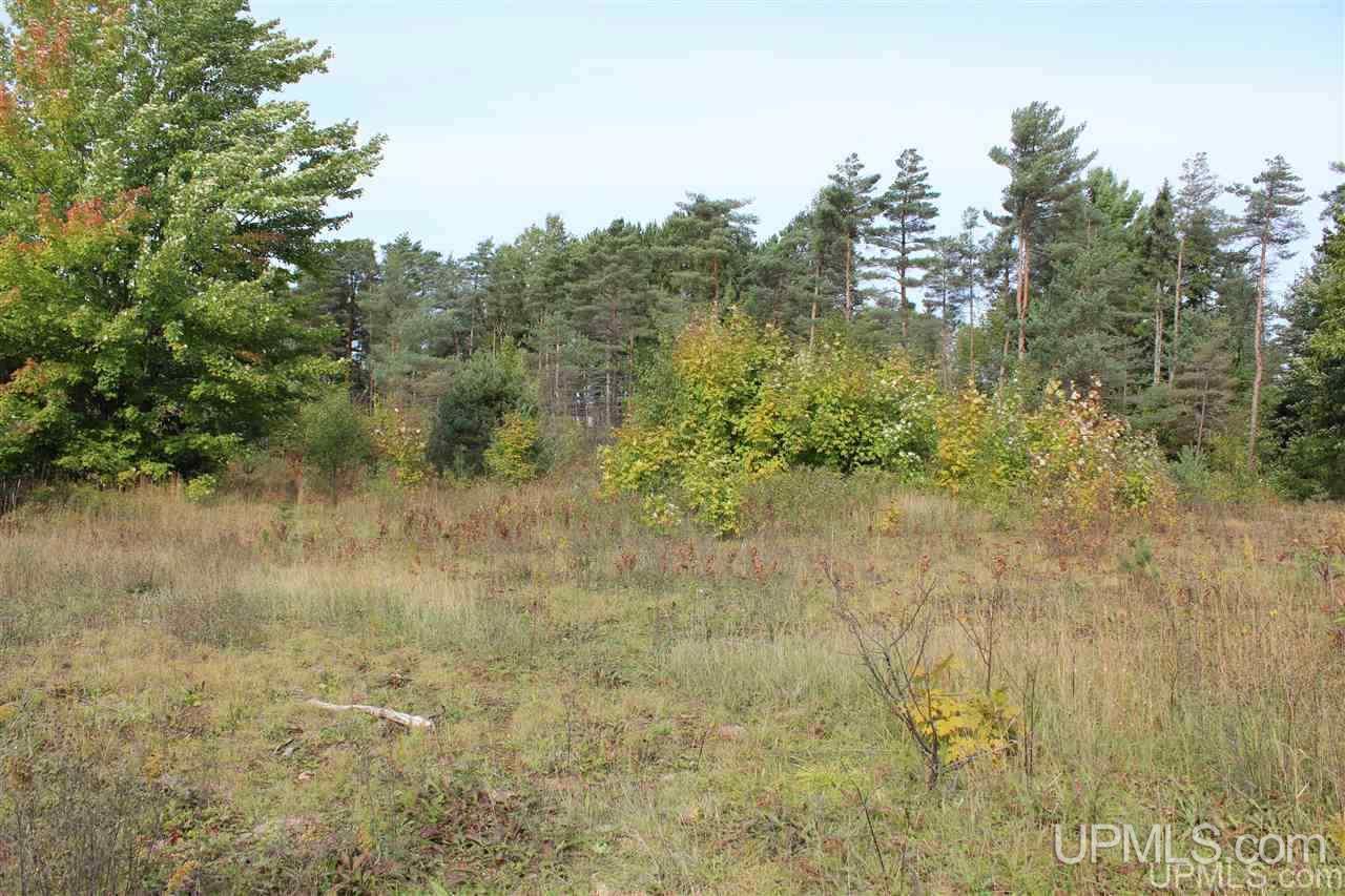 23827 Hulkonen Road Nisula, MI 49952 - Photo 33 of 44 Gallery Image 33