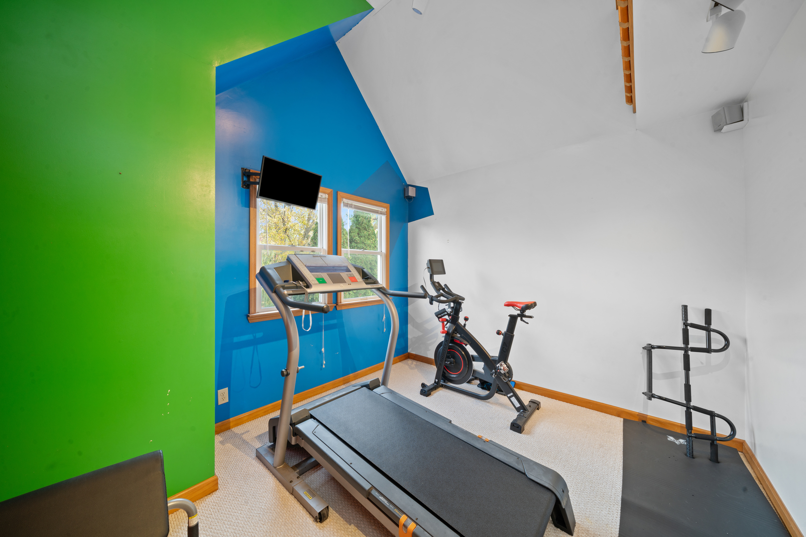 43W140 Campton Hills Road Elburn, IL 60119 - Photo 33 of 54 a view of a room with gym equipment