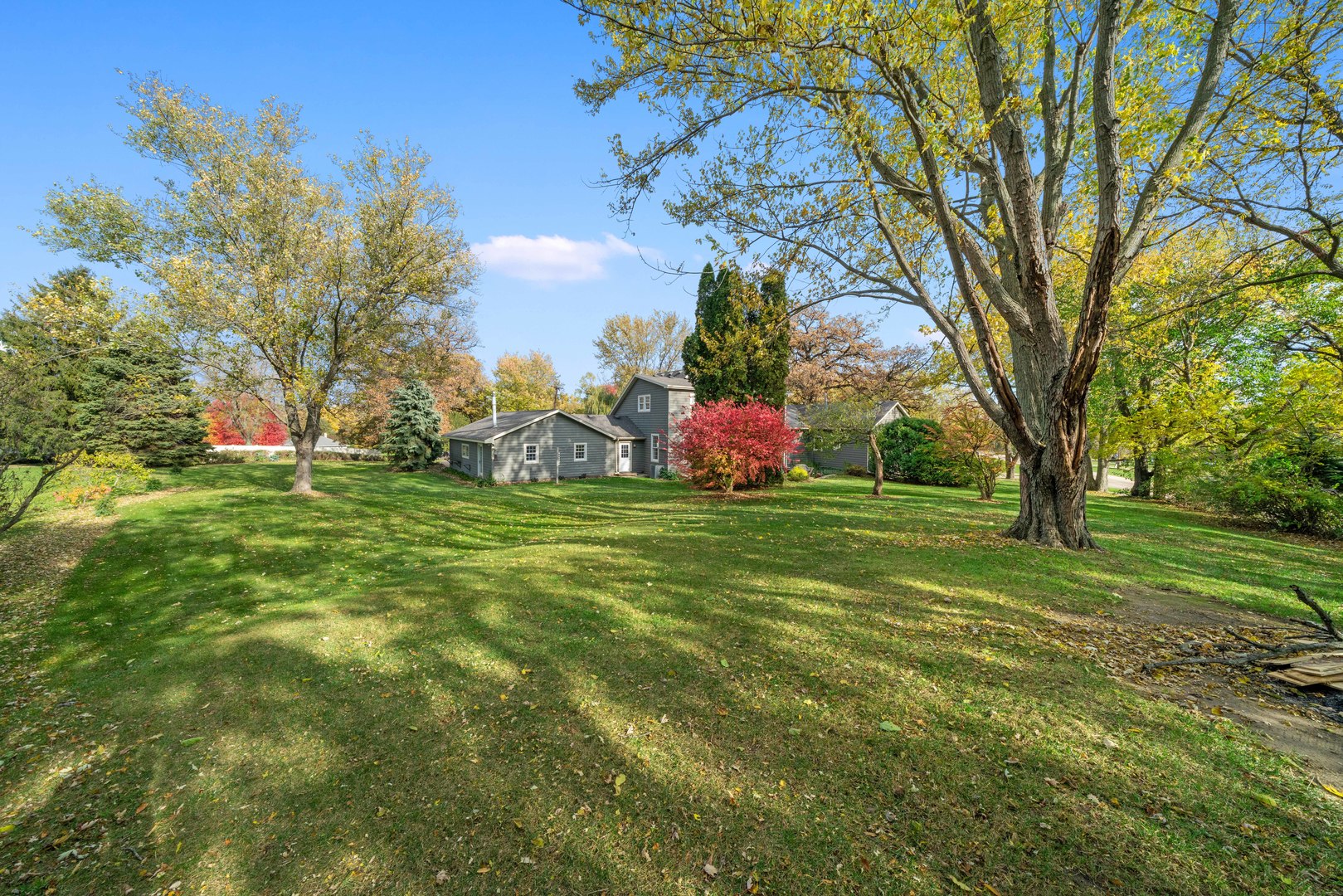 43W140 Campton Hills Road Elburn, IL 60119 - Photo 45 of 54 a view of field with tress in background
