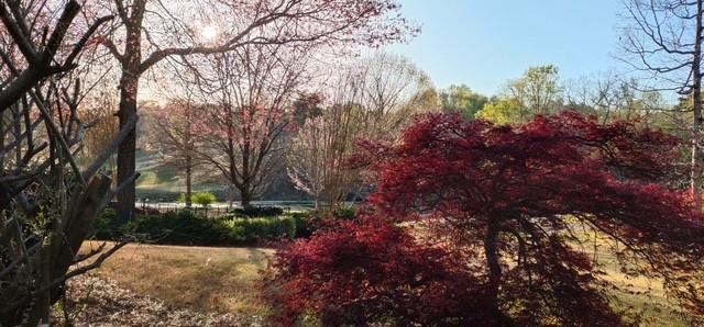 2092 Bakers Mill Road Dacula, GA 30019 - Photo 54 of 65